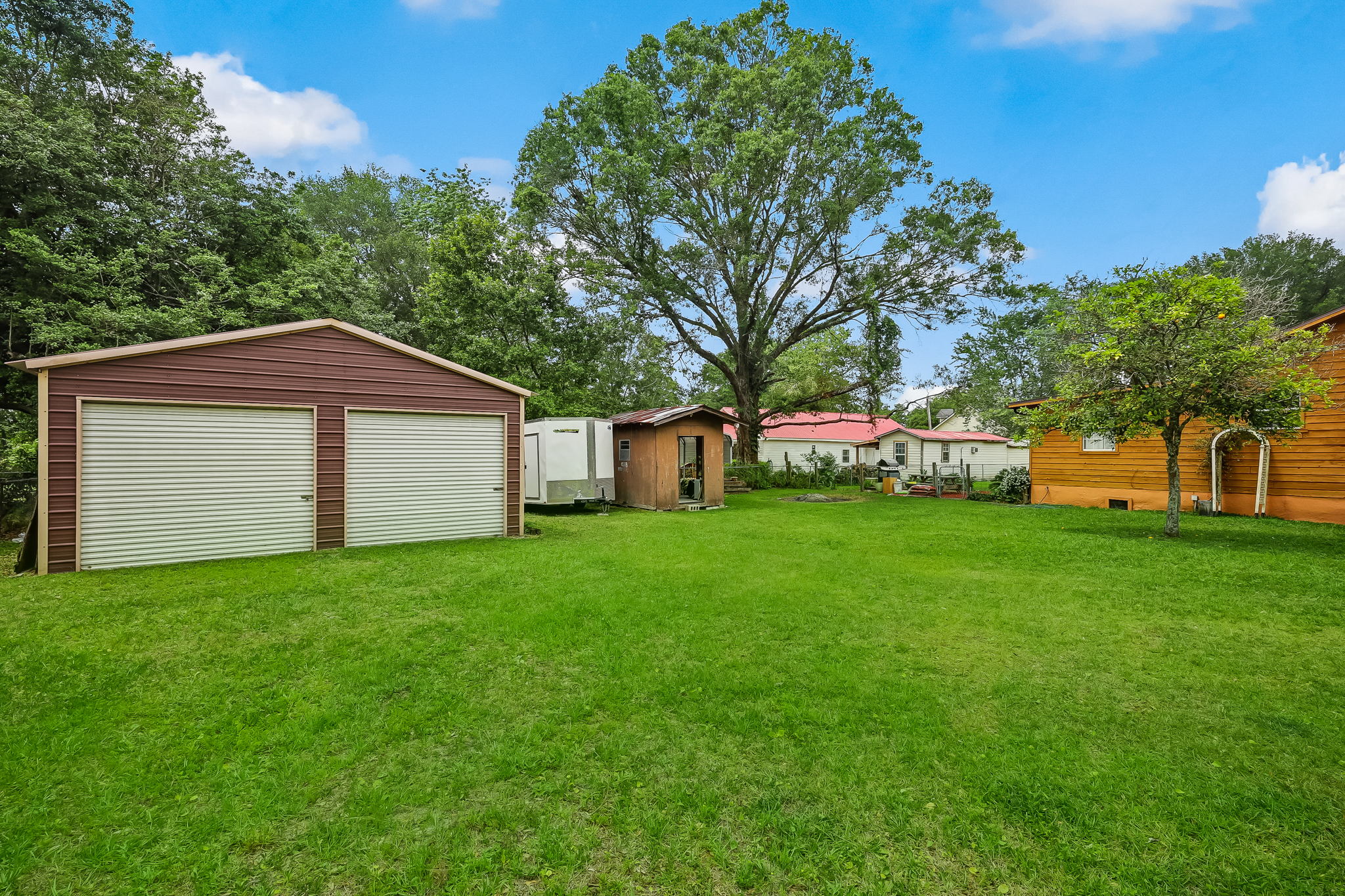 Backyard