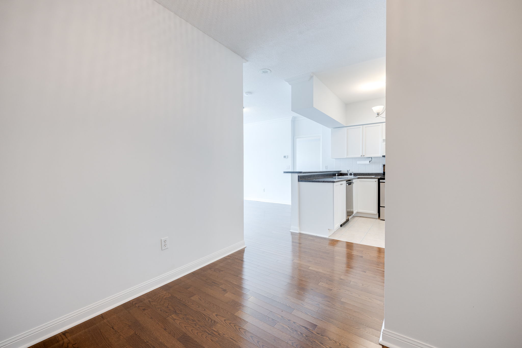 Mississauga property showcase — delivered property photograph 18