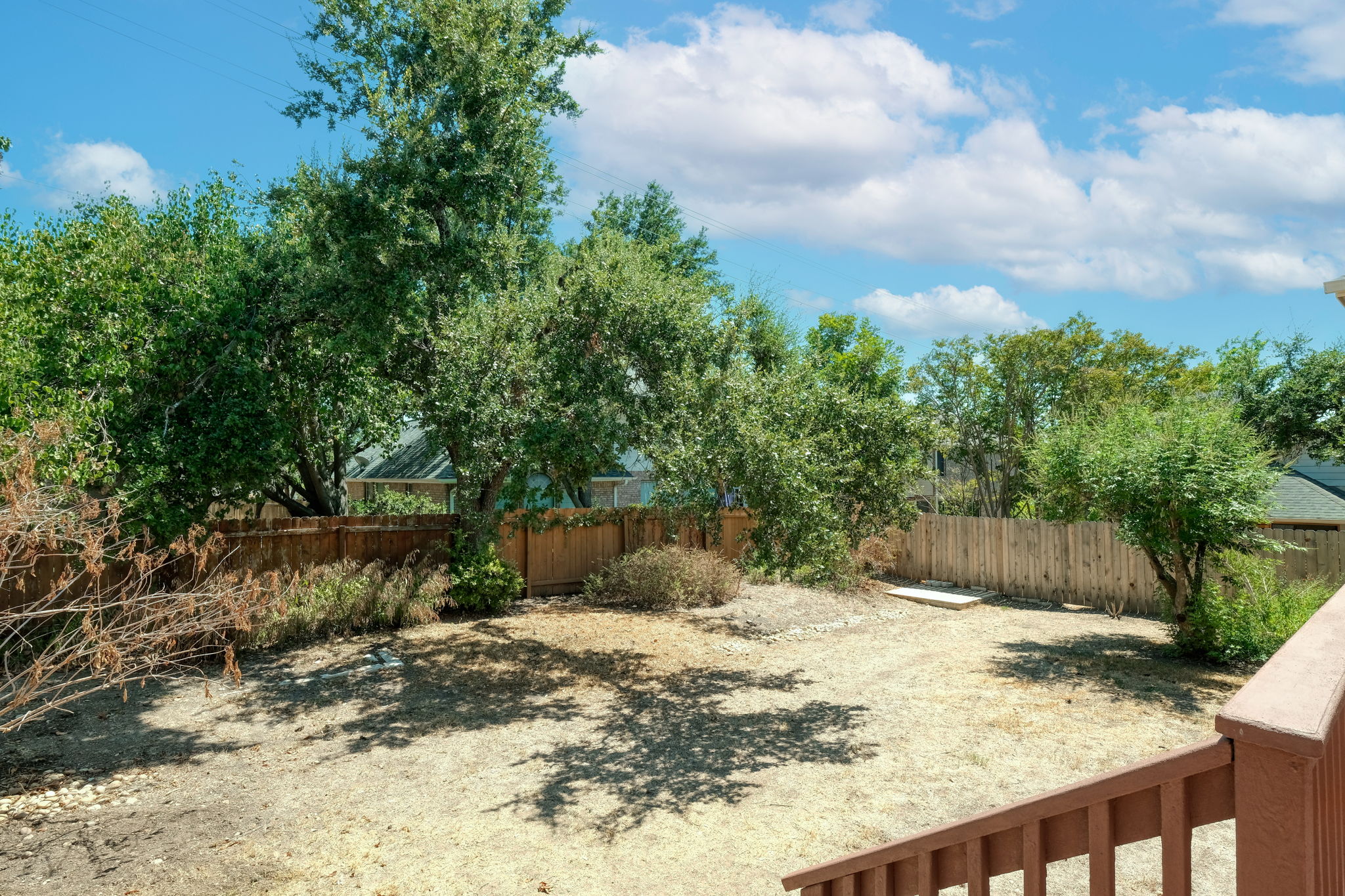 Back Yard