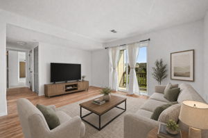 Living Room Staged