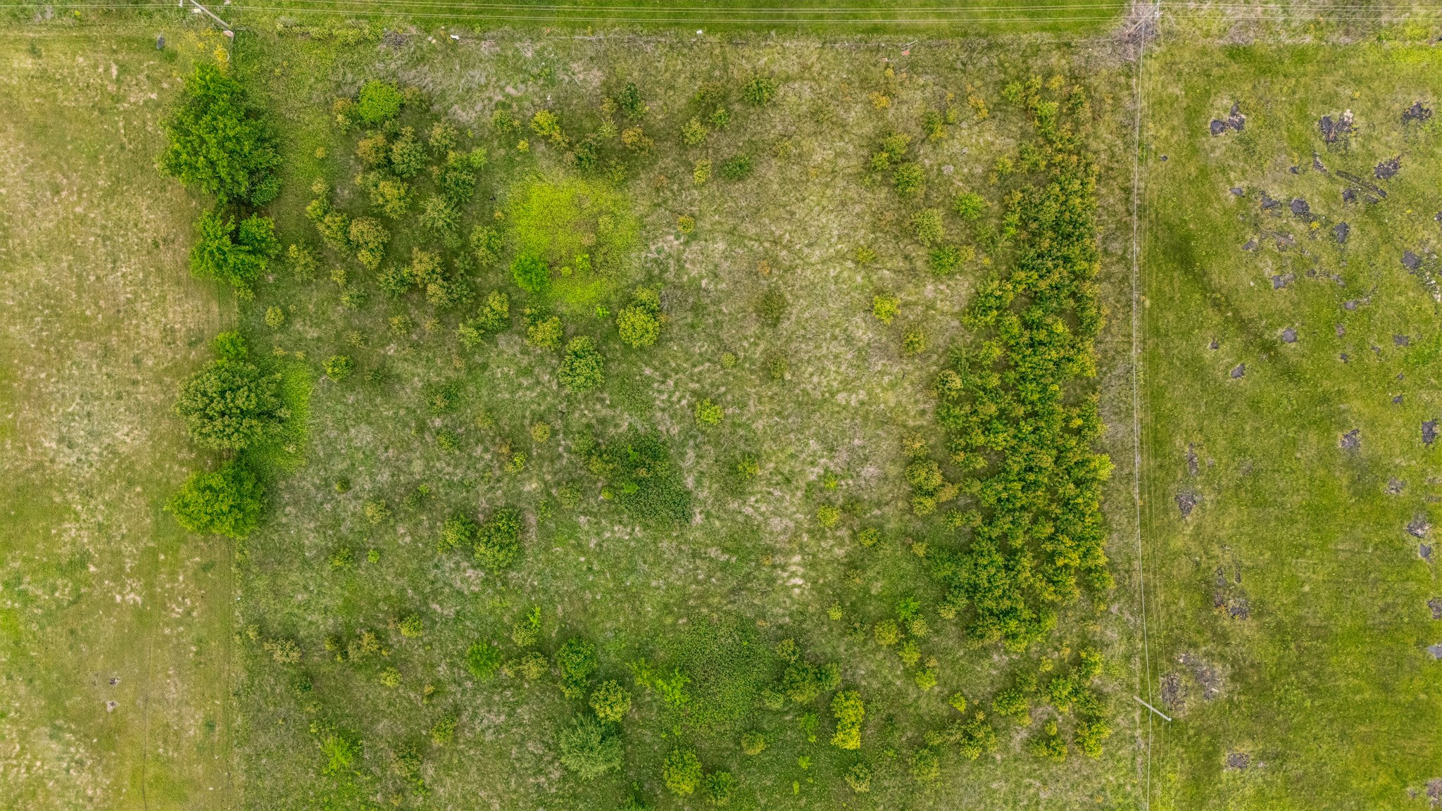 DJI_20260430113222_0031_D.jpg