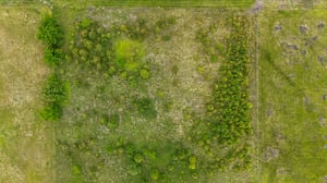 DJI_20260430113222_0031_D.jpg