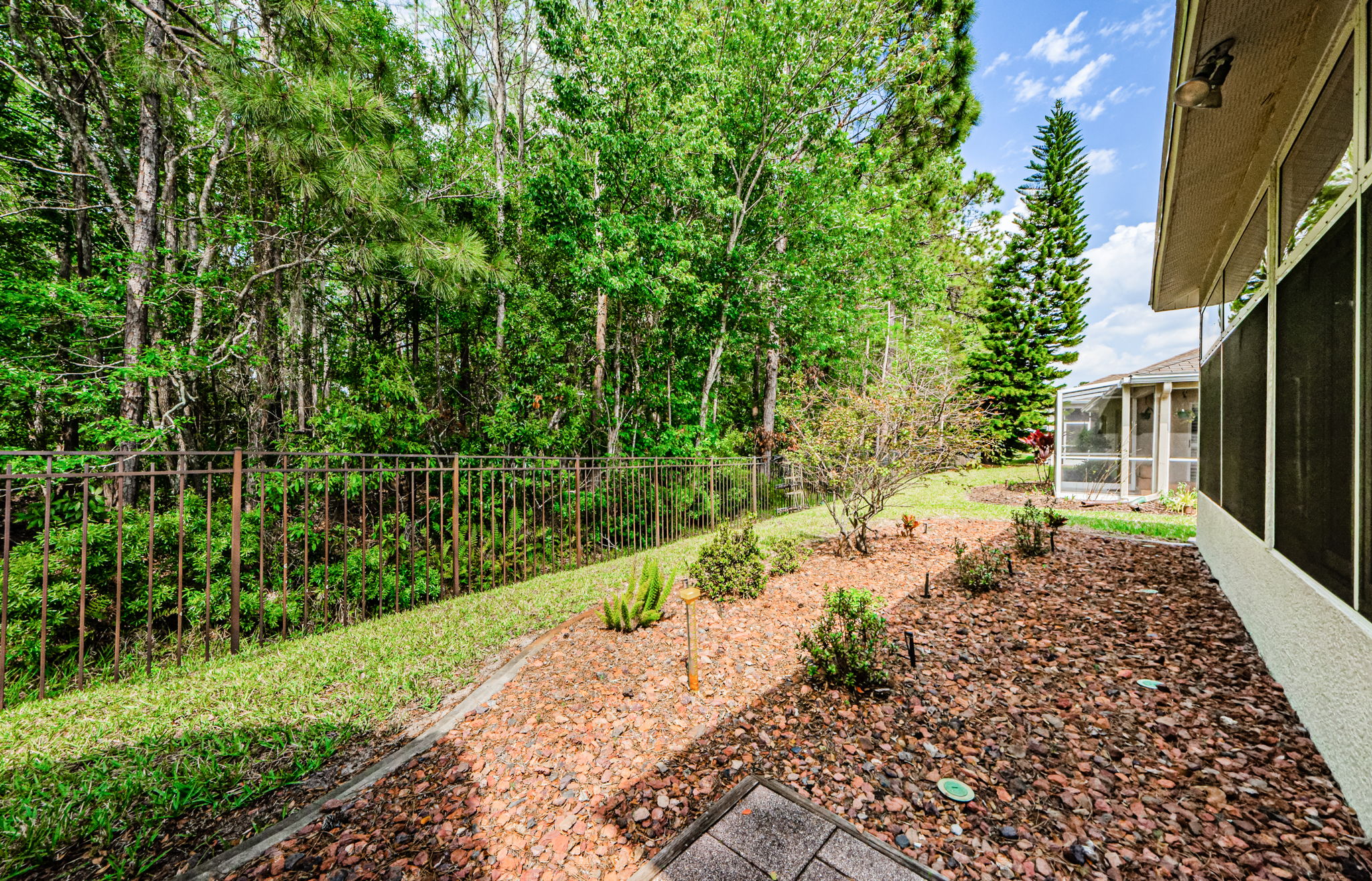 Backyard 1