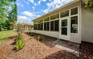 Backyard 4