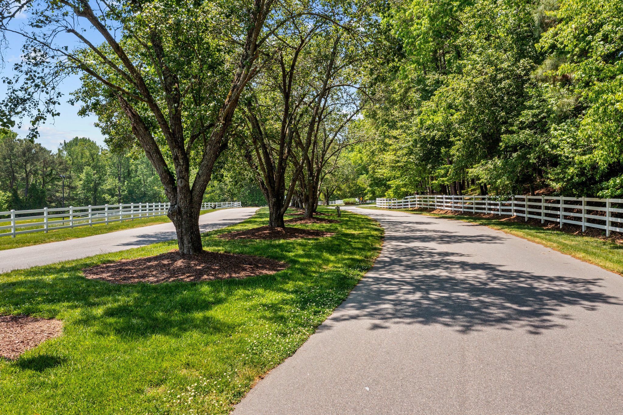 11413 Old Creedmoor Rd, Raleigh, NC 27613, USA Photo 23