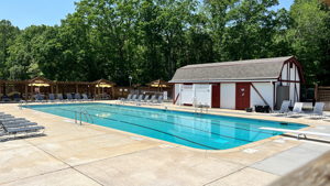 11413 Old Creedmoor Rd, Raleigh, NC 27613, USA Photo 23