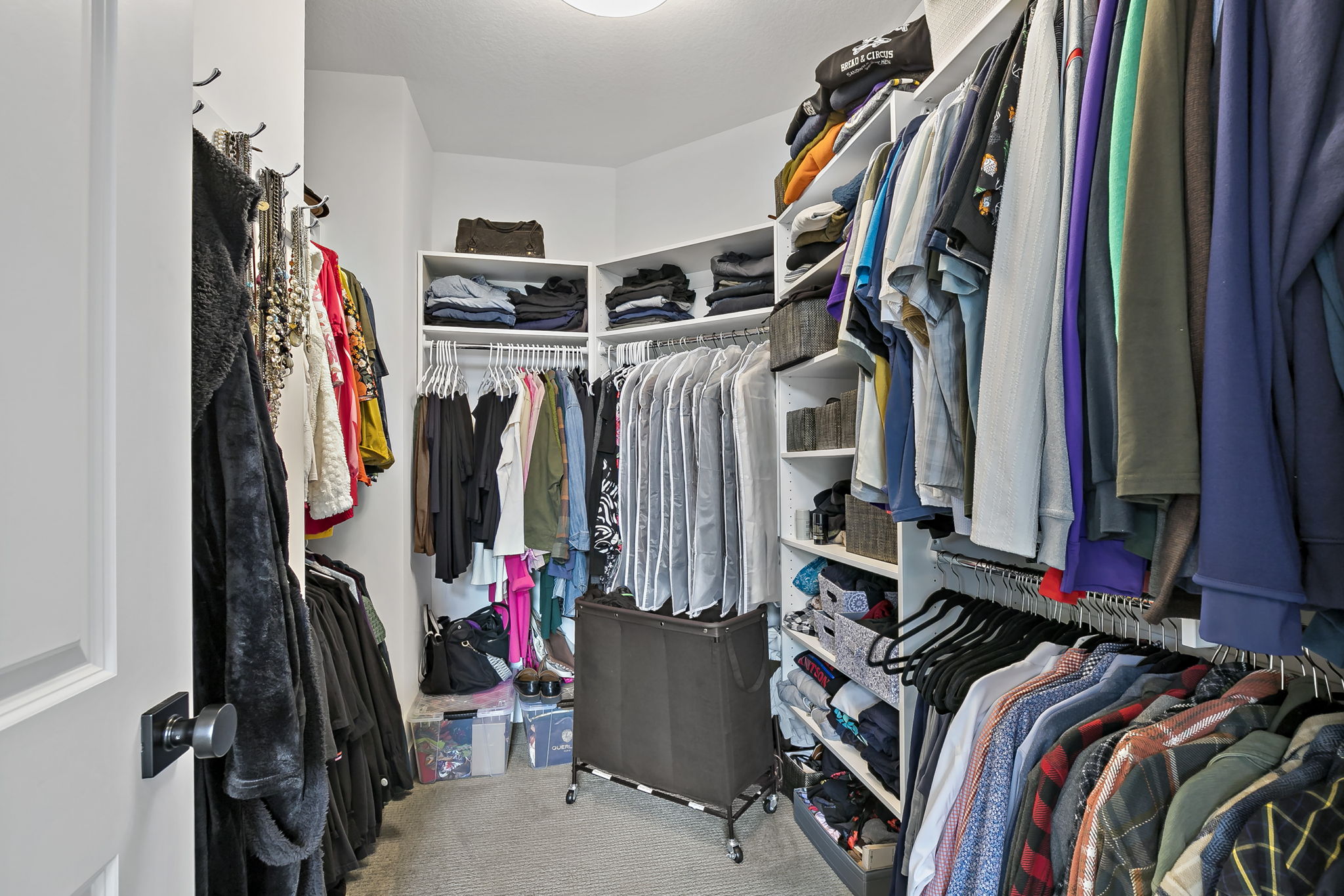  Photo 42