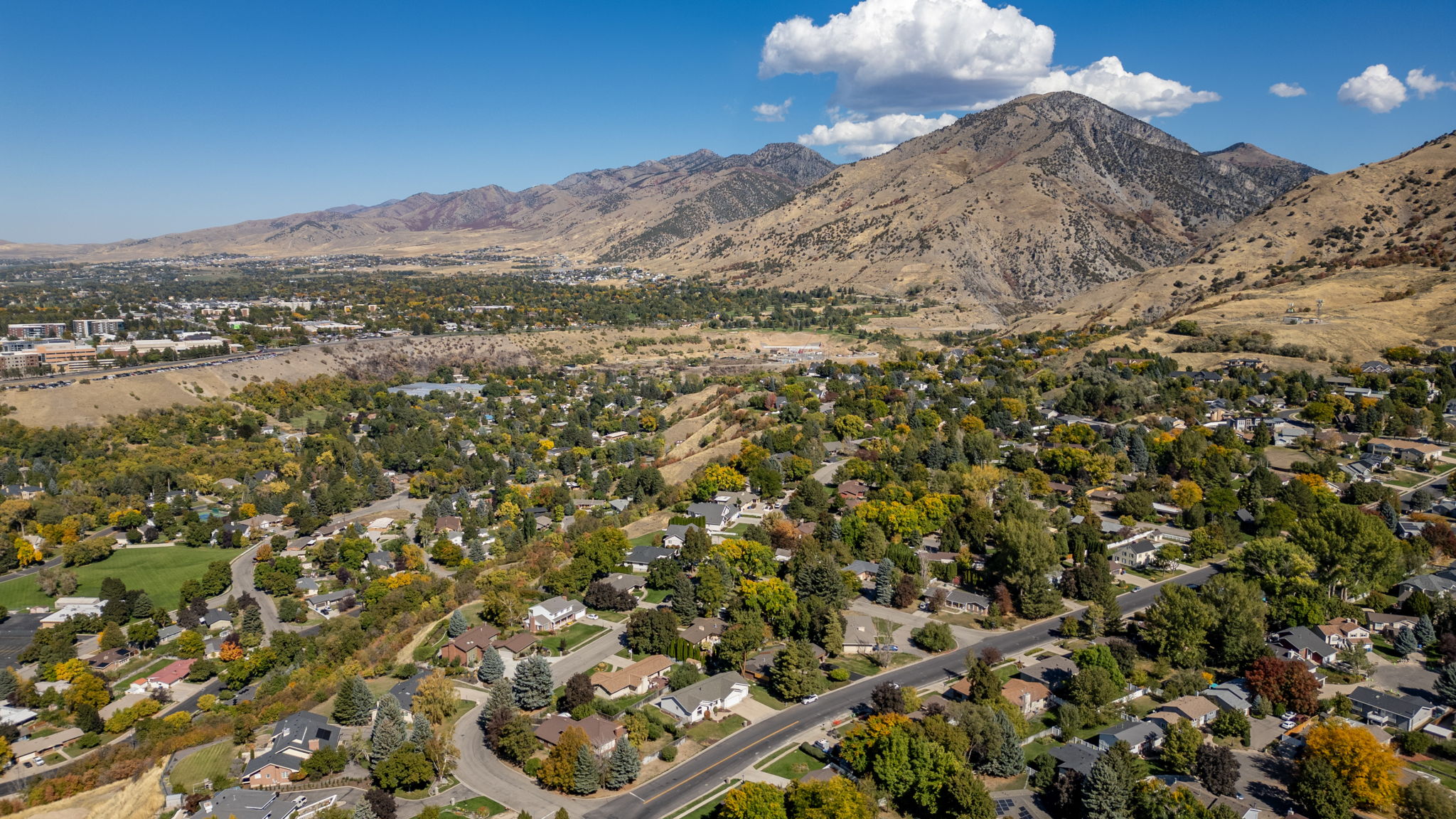  Photo 63