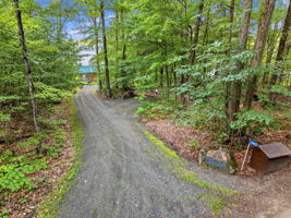  Photo 48