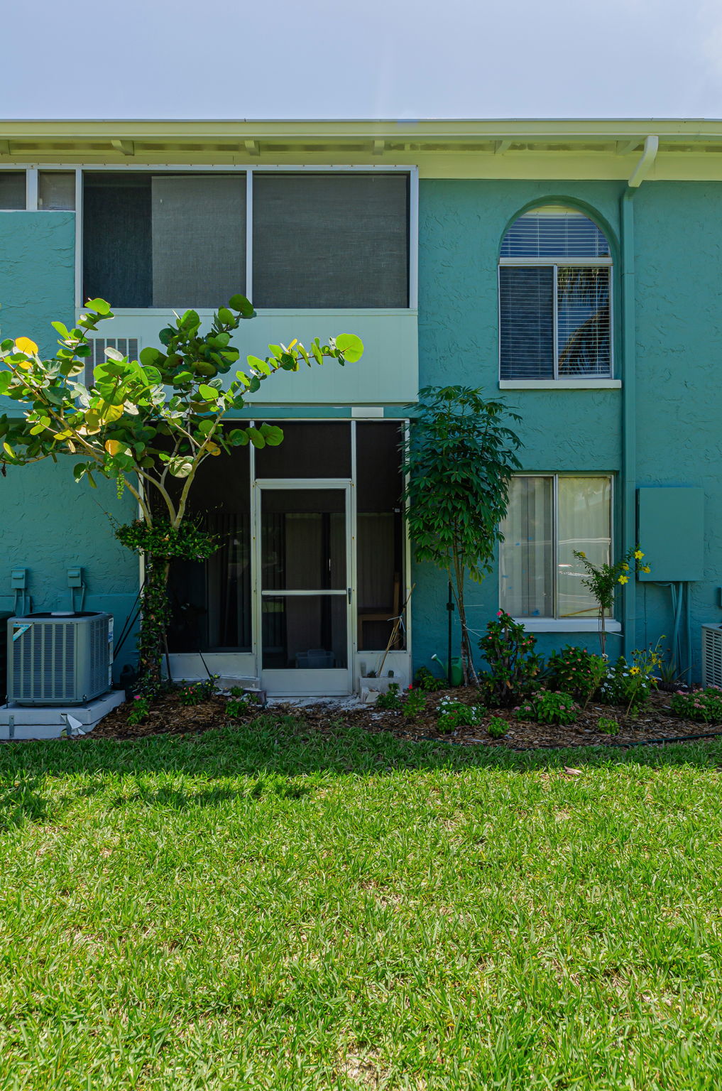 Backyard2