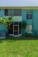Backyard2