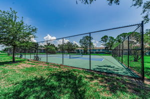 36-Tennis and Pickleball Courts