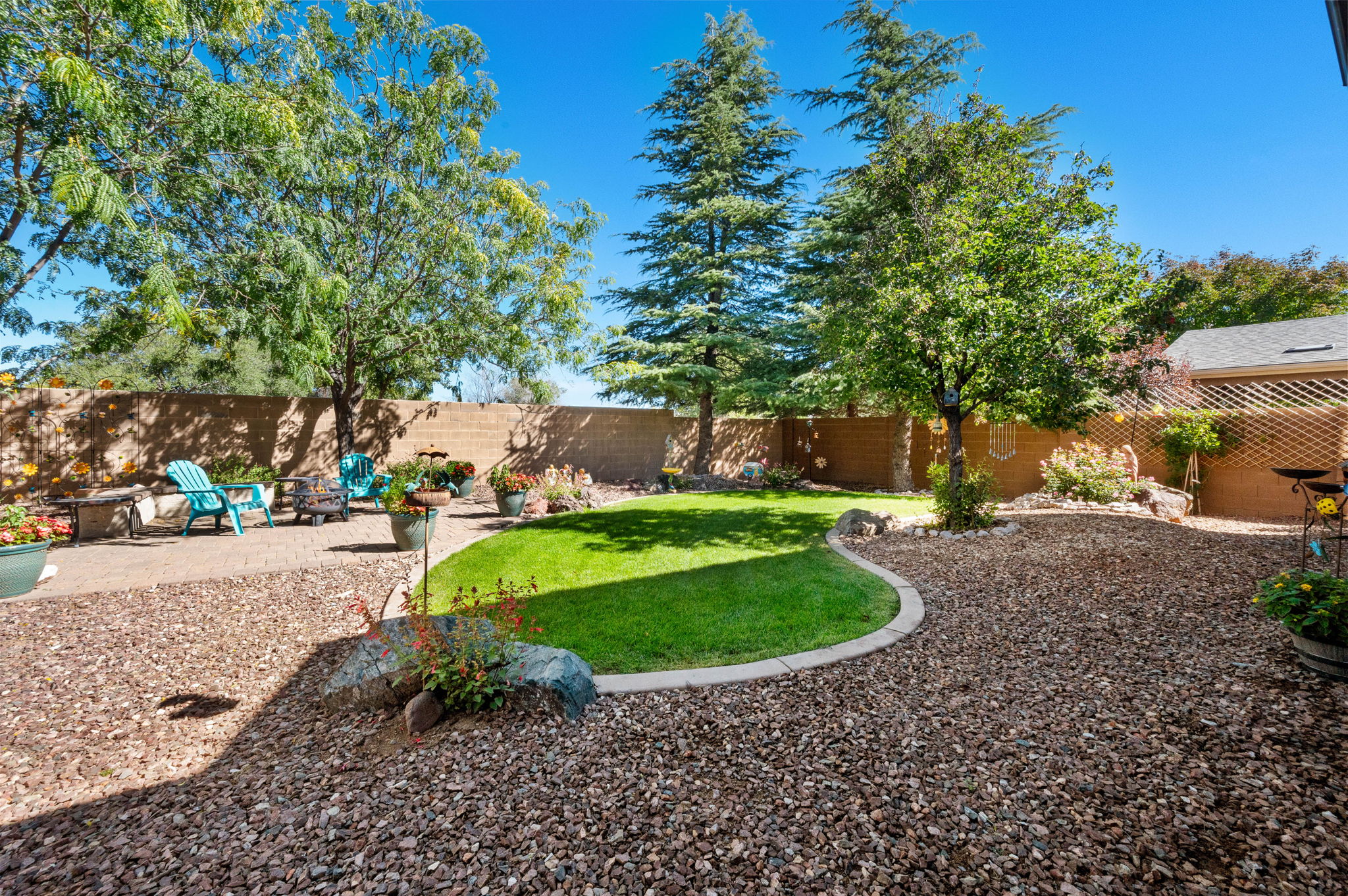 Backyard (1)