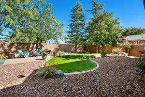 Backyard (1)