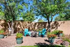 Backyard (2)