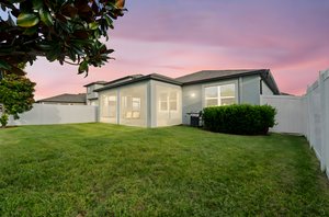 11448 Alachua Creek Ln, Riverview65 day to dusk.jpeg