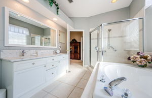 Master Bathroom 1b