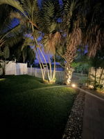  Photo 47