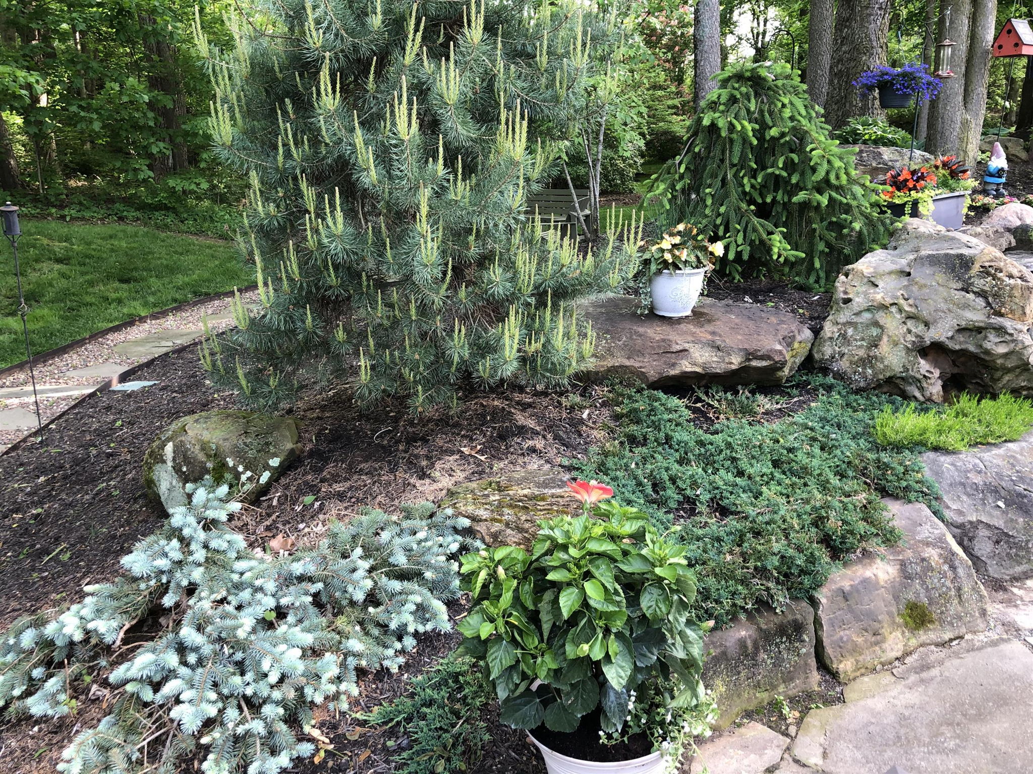 Photo 32