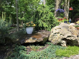  Photo 26