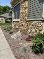 June 2025 after redoing front landscaping