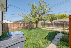 1147 Burrows Avenue - Exterior-6