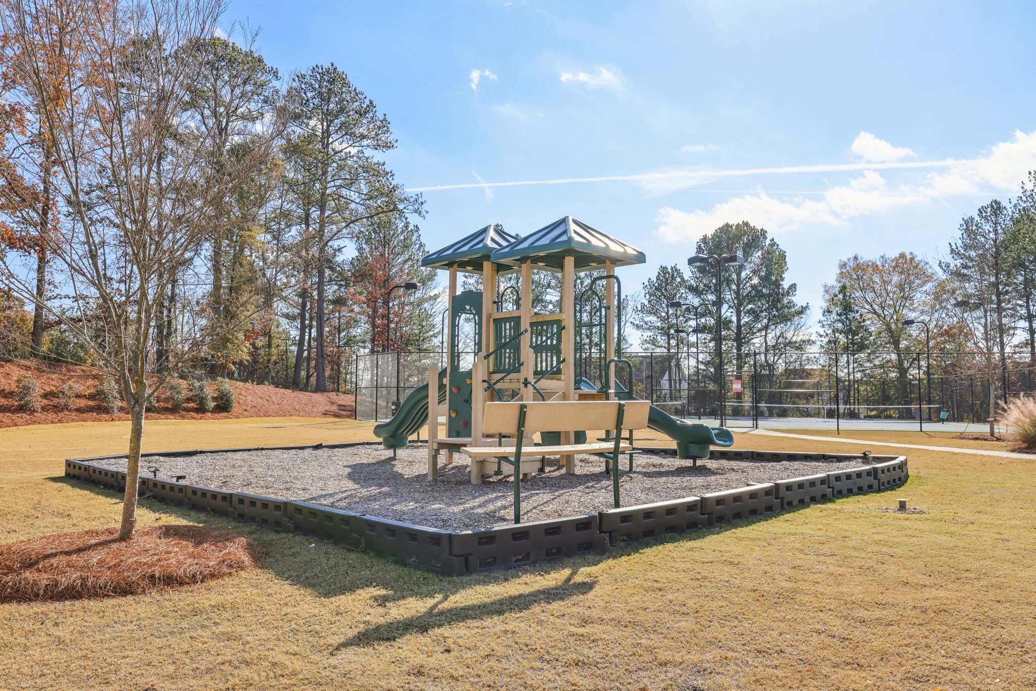 Trident Maple Chase-053.jpg