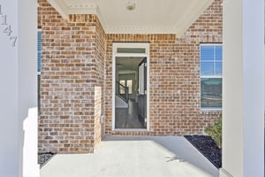 Trident Maple Chase-006.jpg