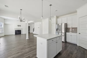 Trident Maple Chase-014.jpg