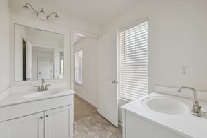Trident Maple Chase-030.jpg
