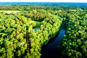 4 Drone View (11 of 14)