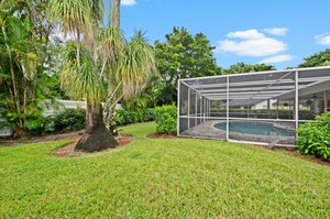 Back yard / Pool