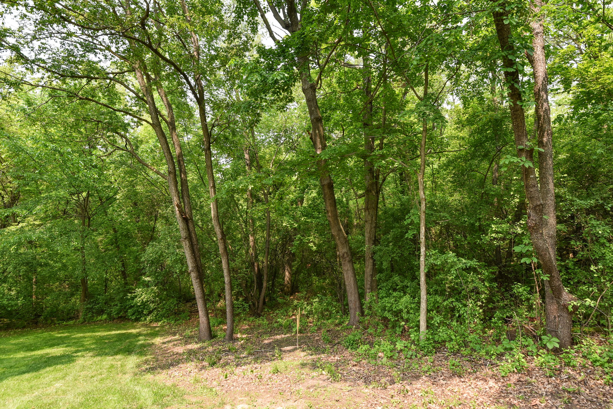  Photo 33