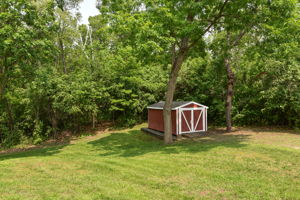  Photo 37