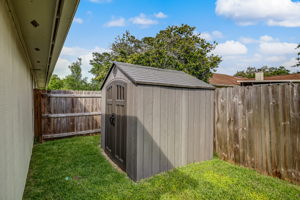 Side Yard