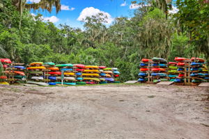 ... or through picturesque saltwater marshes.