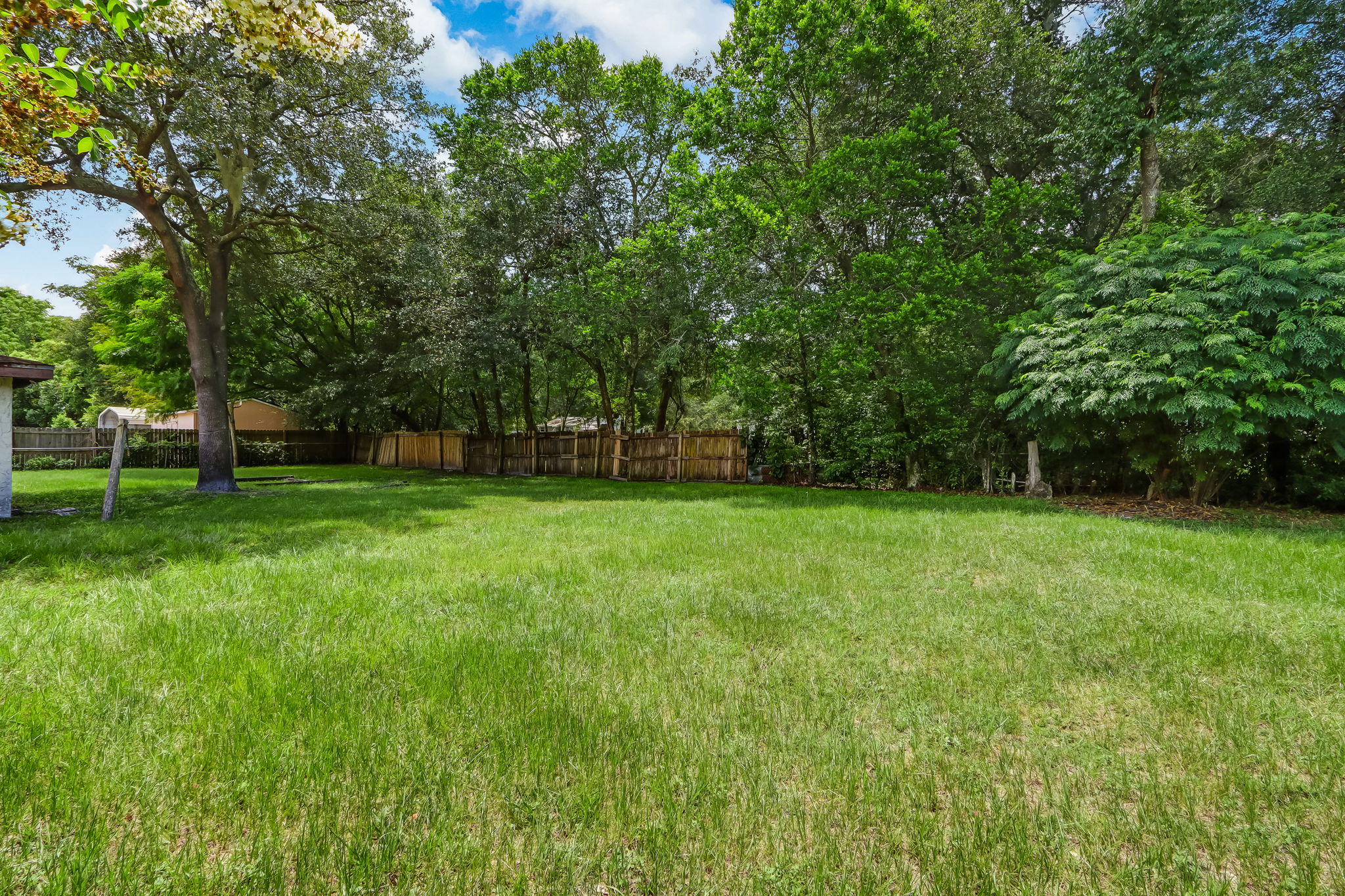 Backyard
