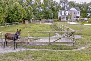  Photo 44