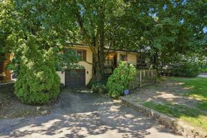  Photo 0