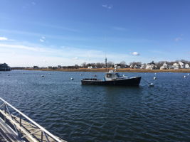 Green Harbor