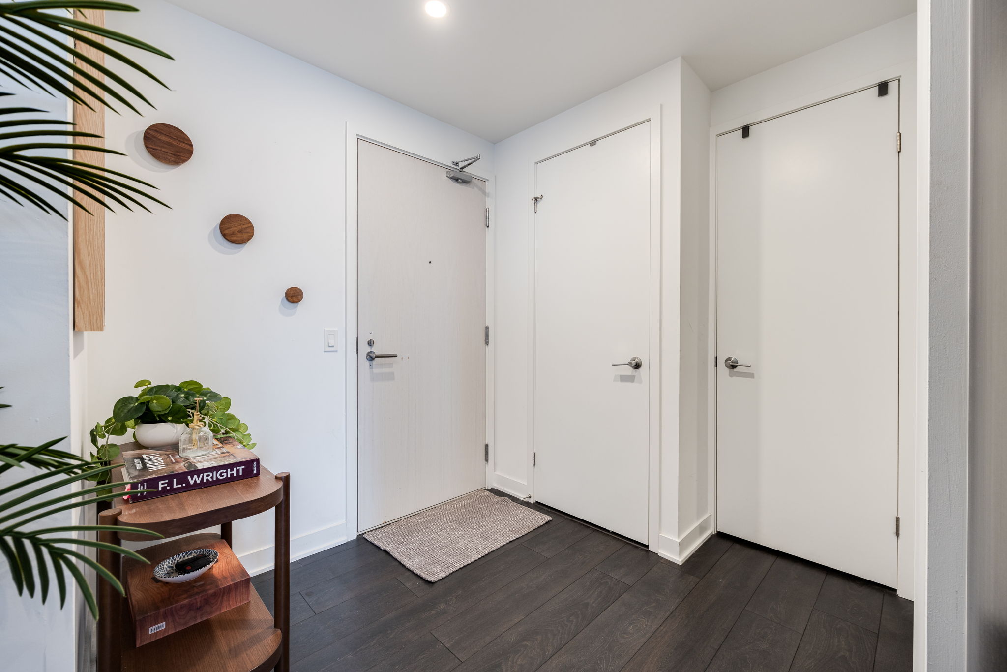 Toronto property showcase — delivered property photograph 21