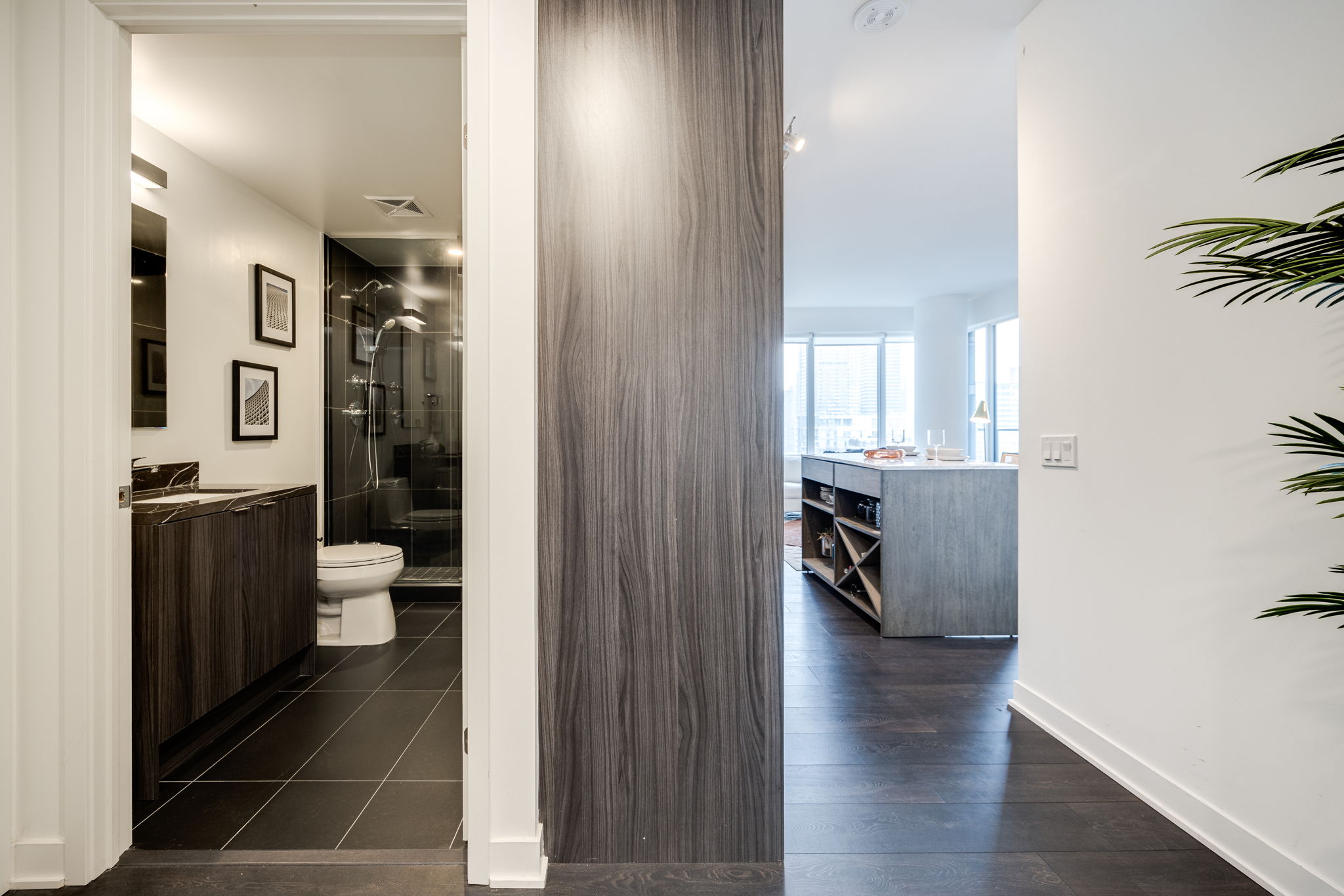 Toronto property showcase — delivered property photograph 22