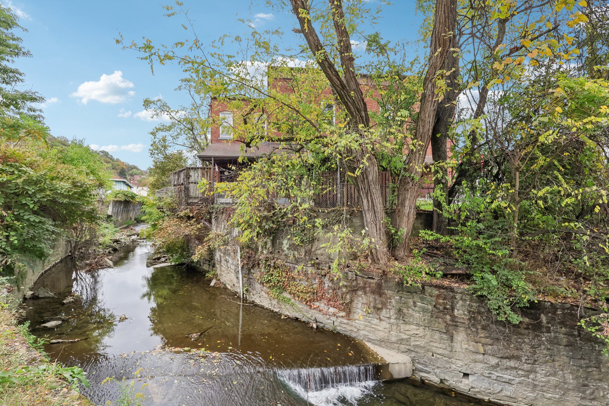 - 115 Grant Ave-S2410-008.jpg