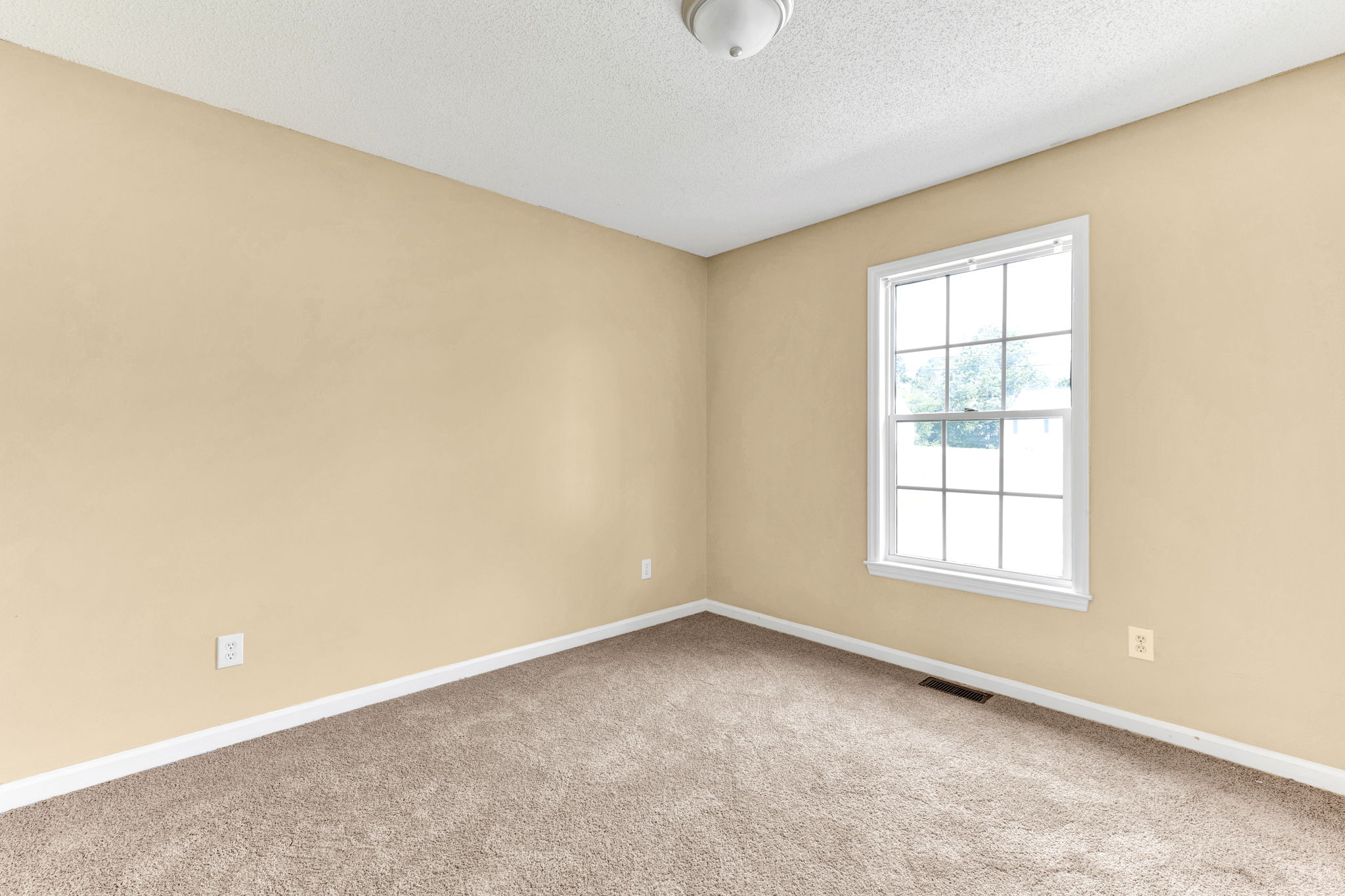 115 Hasty Hill Rd-15