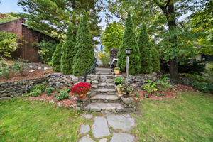  Photo 46