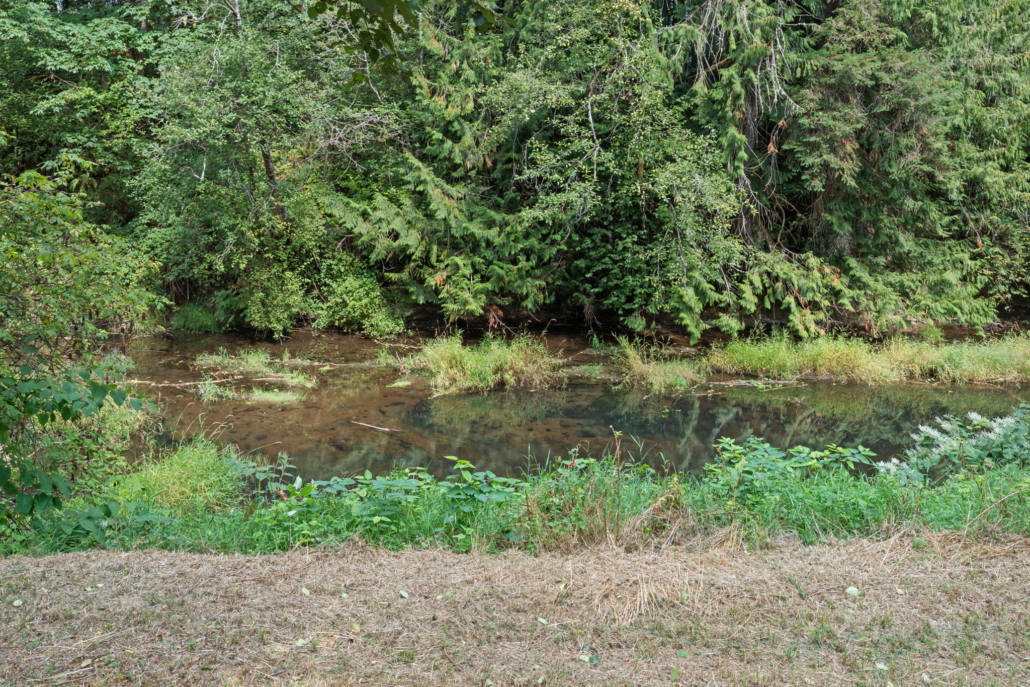  Photo 34