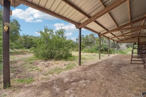 Nasoni Trl-S0707-044.jpg