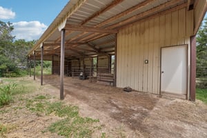 Nasoni Trl-S0707-045.jpg