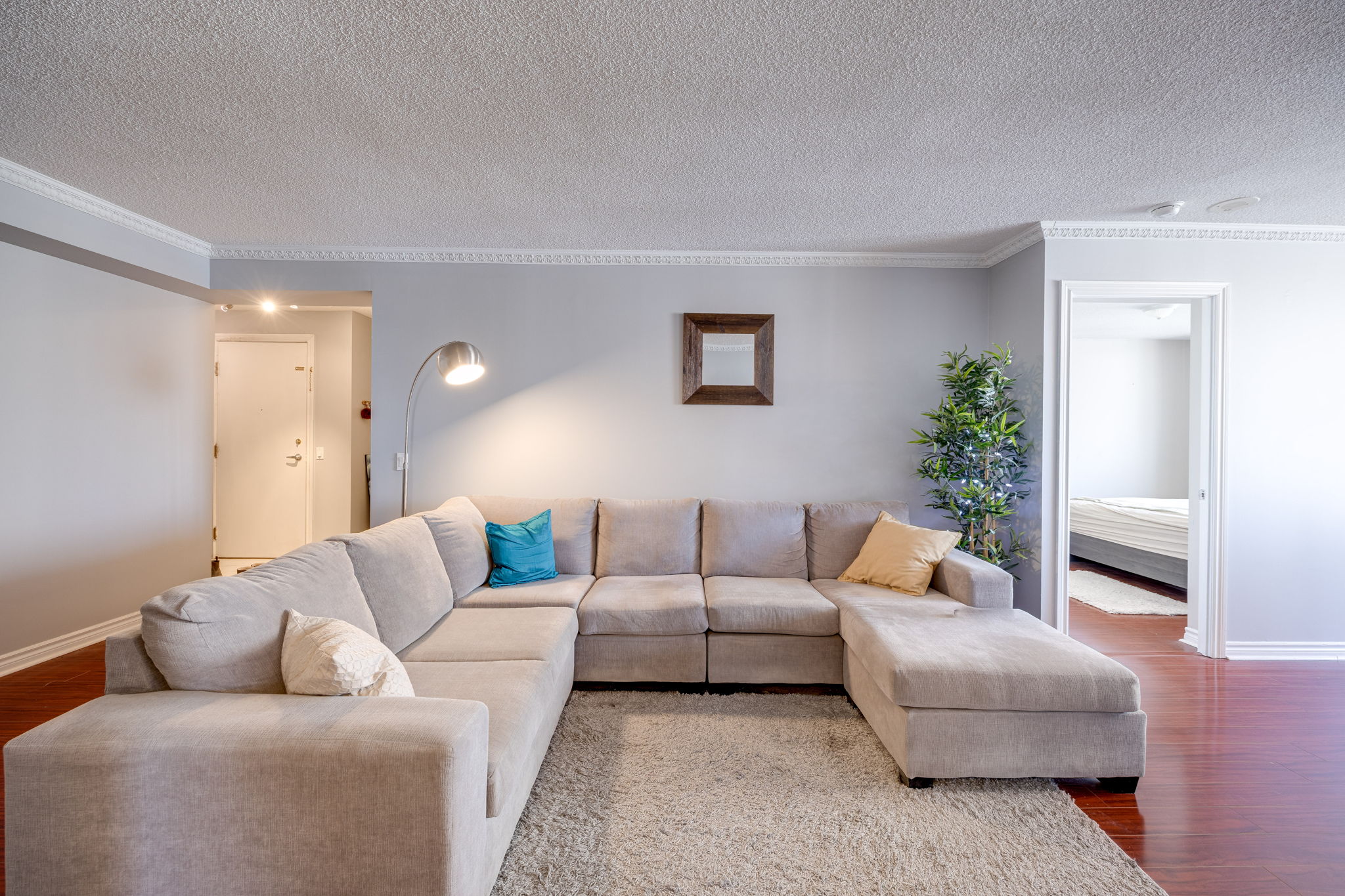 Toronto property showcase — delivered property photograph 6