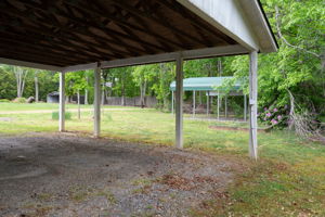  Photo 41